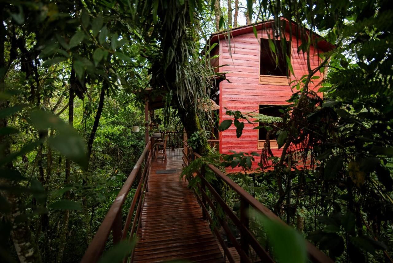 Tominejo Ecolodge - Casas En Los Arboles Neira Dış mekan fotoğraf