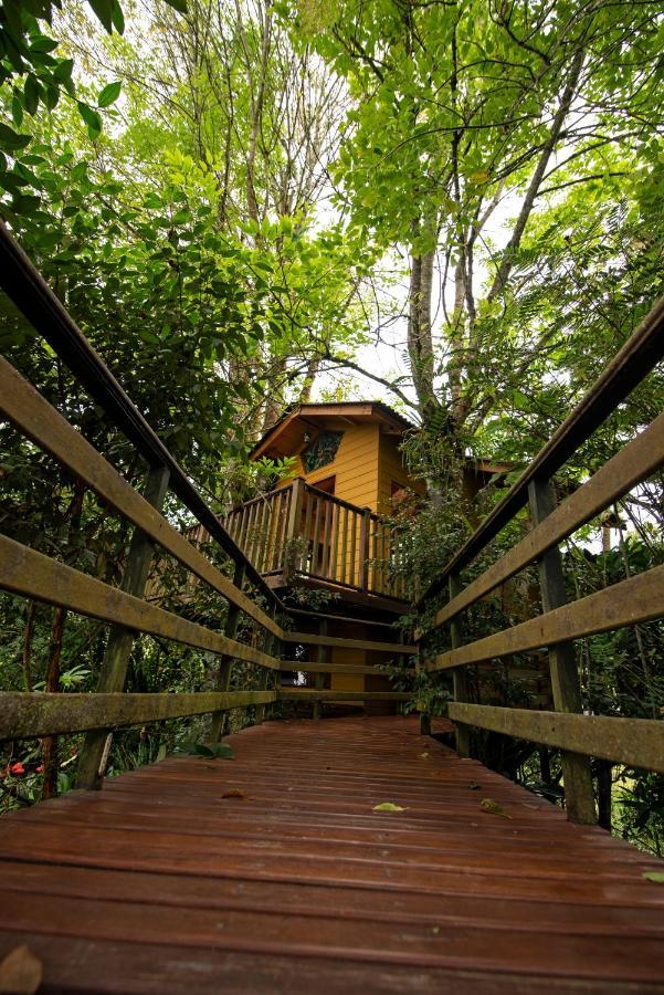 Tominejo Ecolodge - Casas En Los Arboles Neira Dış mekan fotoğraf
