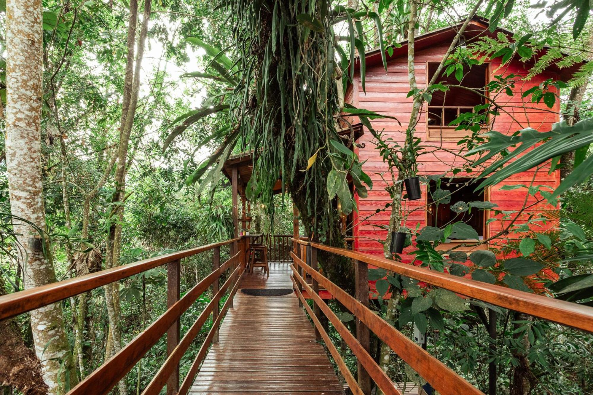 Tominejo Ecolodge - Casas En Los Arboles Neira Dış mekan fotoğraf
