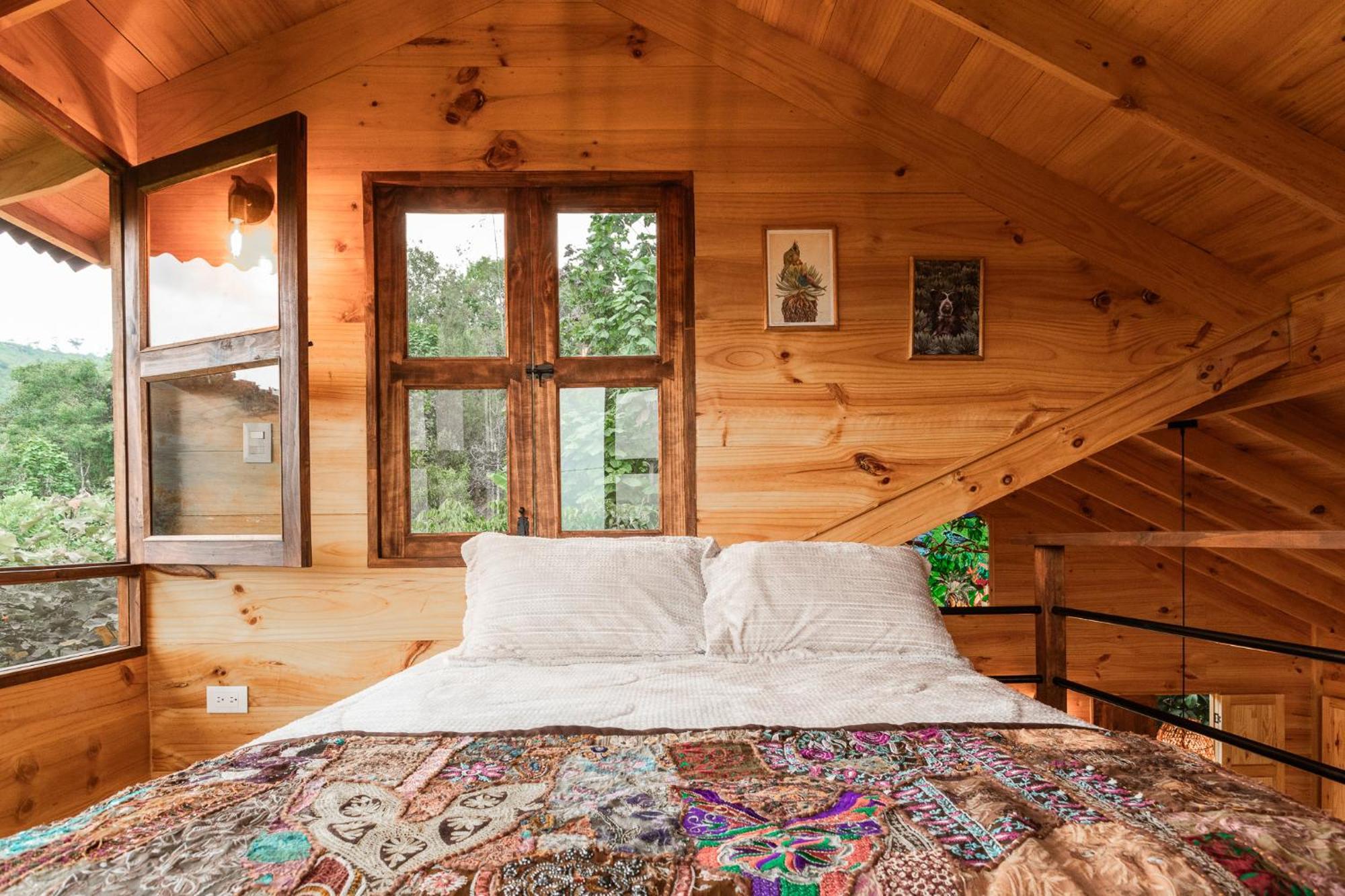 Tominejo Ecolodge - Casas En Los Arboles Neira Dış mekan fotoğraf