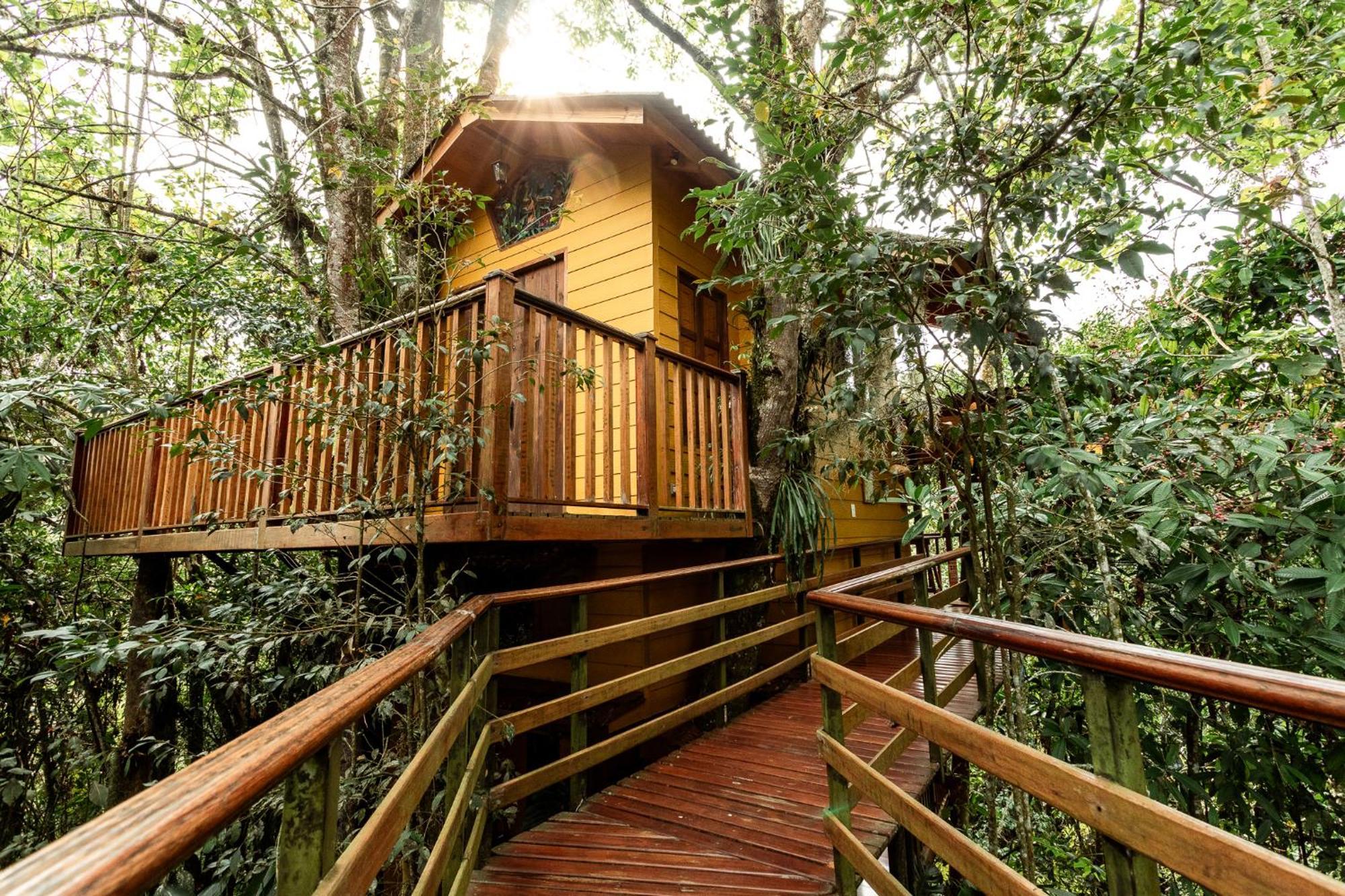Tominejo Ecolodge - Casas En Los Arboles Neira Dış mekan fotoğraf