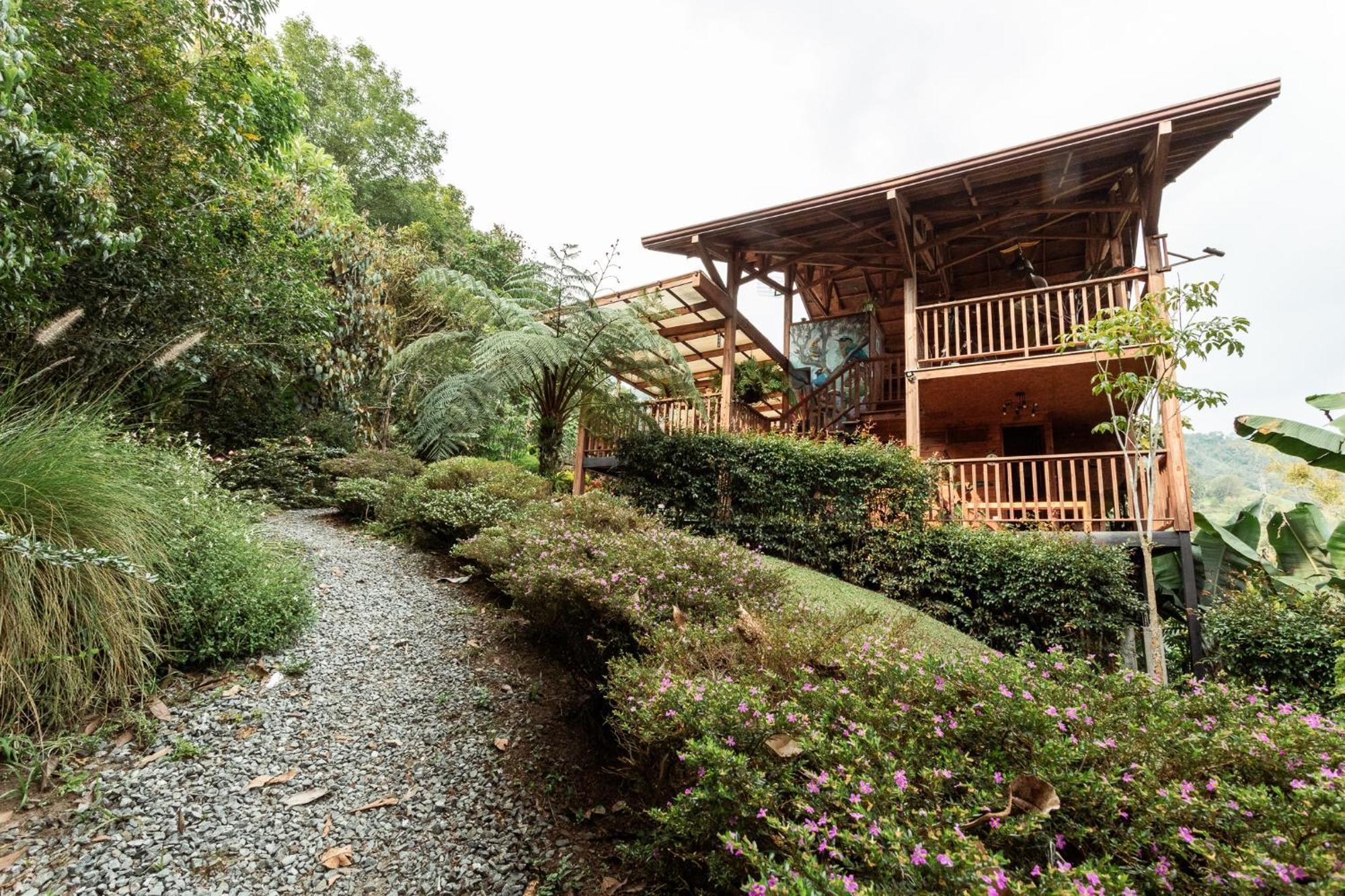 Tominejo Ecolodge - Casas En Los Arboles Neira Dış mekan fotoğraf