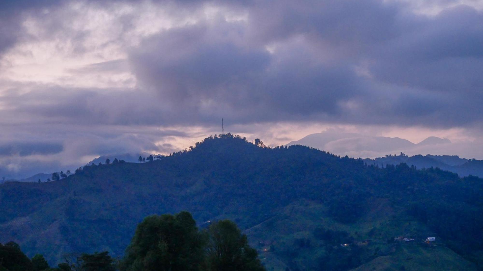 Tominejo Ecolodge - Casas En Los Arboles Neira Dış mekan fotoğraf