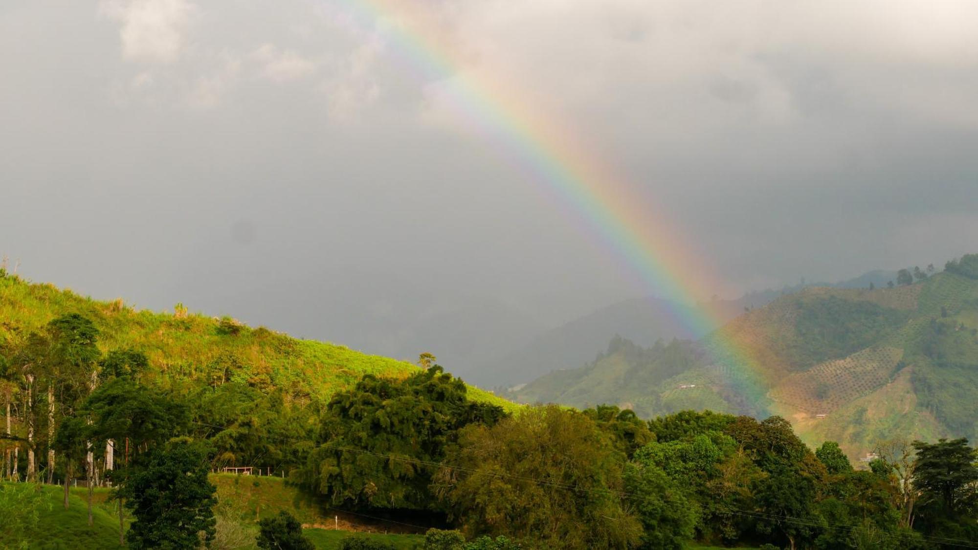 Tominejo Ecolodge - Casas En Los Arboles Neira Dış mekan fotoğraf